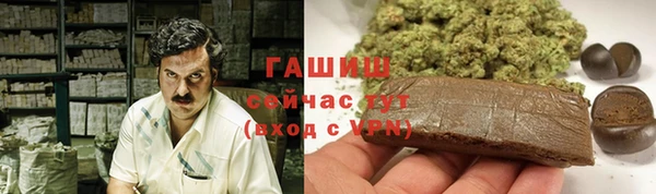 гидра Бежецк